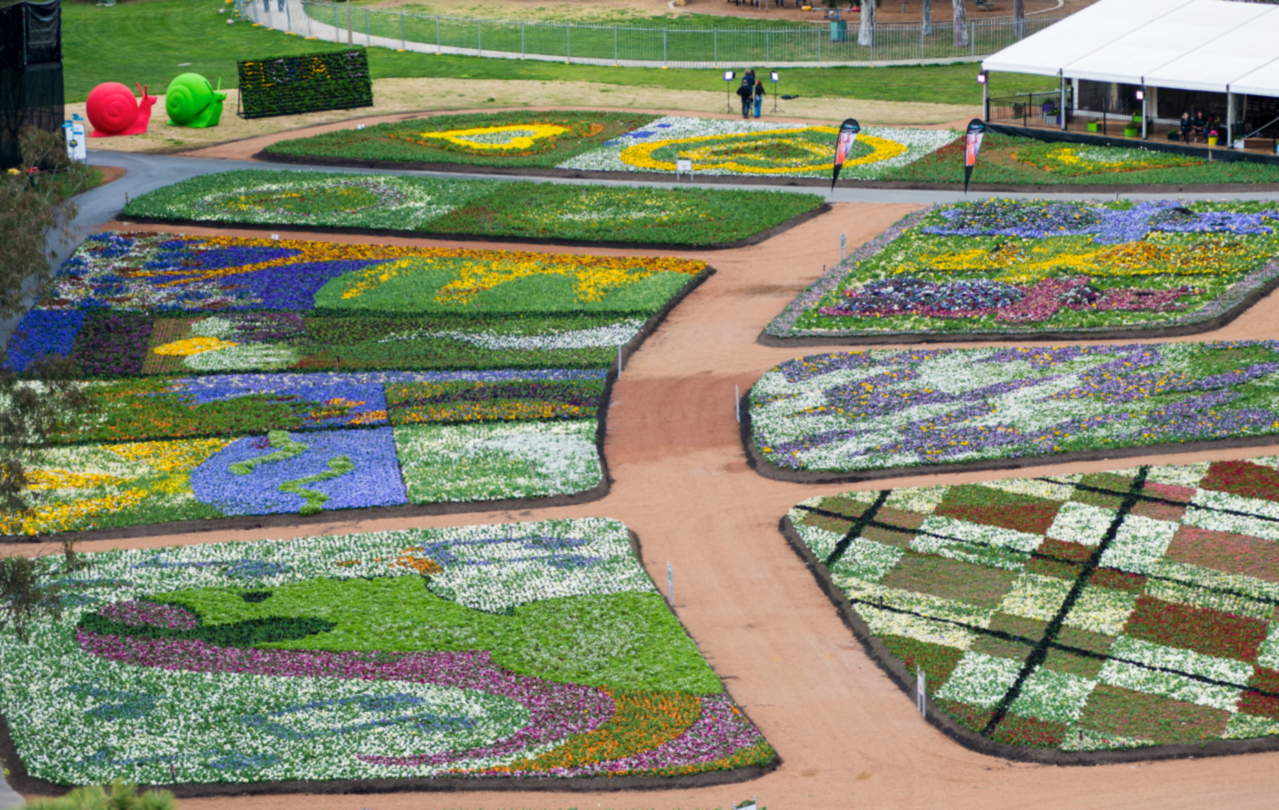 Những bức tranh hoa trong lễ hội hoa Floriade 
