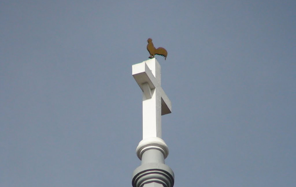Chú gà trông oai vệ trên nóc nhà thờ