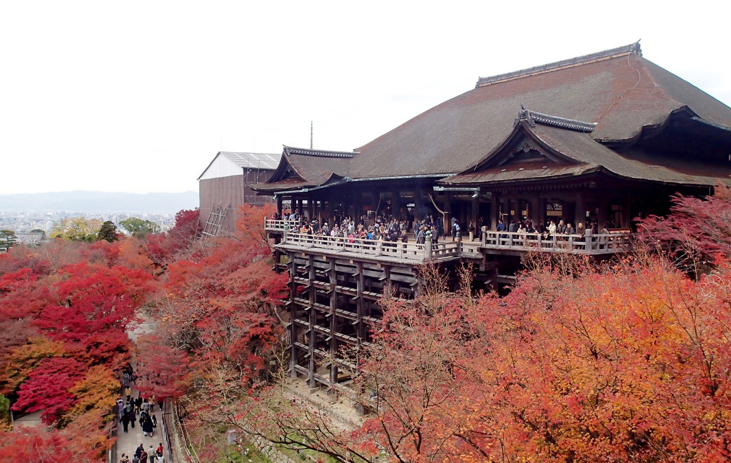 Để chiêm ngưỡng vẻ đẹp ấn tượng của những khu rừng phía đông Kyoto bạn có thể lên đền Kiyomozu. Đến thăm ngôi dền vào mùa xuân bạn sẽ được ngắm những cánh anh đào hồng thắm hay những chiếc rực rỡ sắc màu khi trời vào thu.