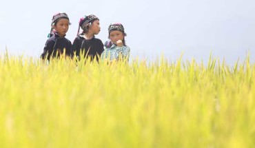 Những bé gái La Chí lấm lép bên những mảnh ruộng lúa chín vàng óng, mong chờ một mùa thu hoạch tốt để có những bữa ăn no đủ hơn.