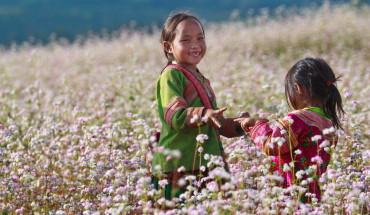 Lễ hội hoa Tam giác mạch là một trong những lễ hội hấp dẫn nhất Hà Giang
