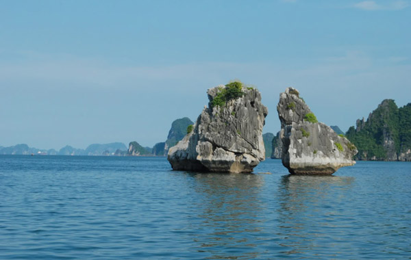 Hòn Gà Chọi