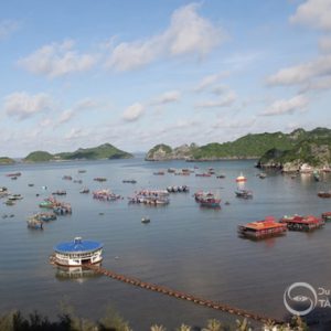 Đảo Cát Bà