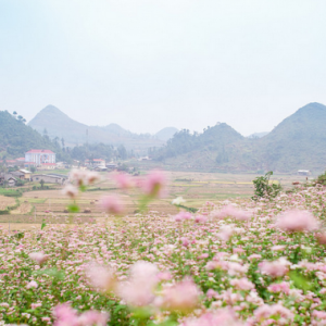Cột cờ Lũng Cú từ vườn hoa Tam Giác Mạch