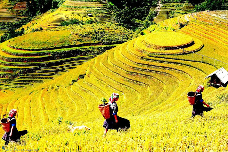 Lao-Chải-–-Tả-Van