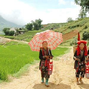 Người Dao Đỏ