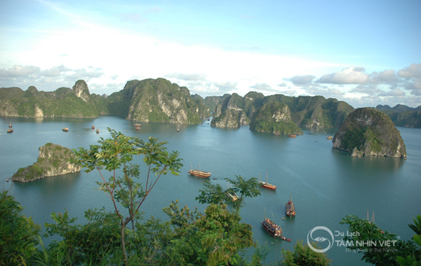 Vịnh Hạ Long từ đảo Titop