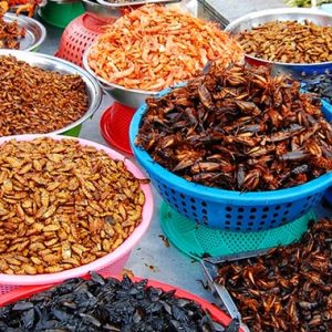 Chợ Côn trùng