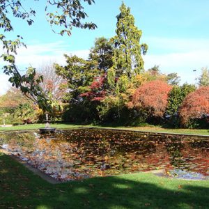 Công viên Mona Vale, Christchurch