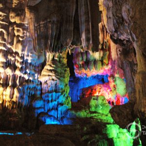 Động Phong Nha, Quảng Bình