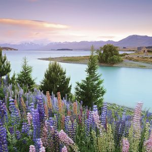Hồ Tekapo, New Zealand