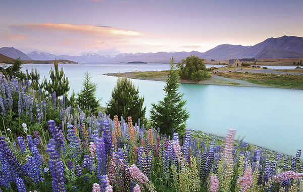 Hồ Tekapo, New Zealand