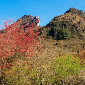 Khu du lịch Hàm Rồng