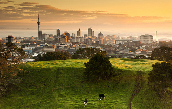 Thành phố Auckland nhìn từ Eden Mount