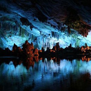 Waitomo Caves