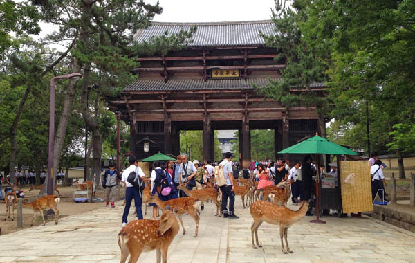 Công viên Deer Park