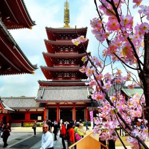 Ngôi đền Asakussa Kannon