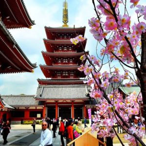 Ngôi đền Asakussa Kannon