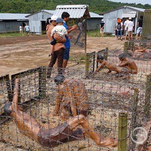 Nhà tù Phú Quốc