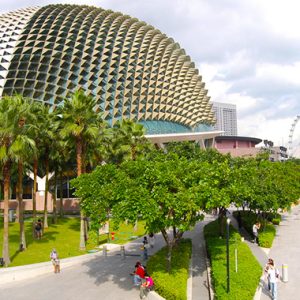 Nhà Hát Quả Sầu Riêng