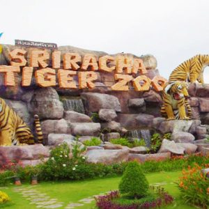 Siracha Tiger Zoo