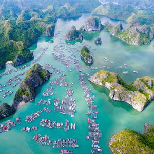 Điểm Đến Cát Bà