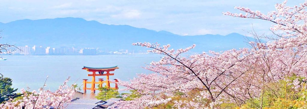 Công Ty Du Lịch Tầm Nhìn Việt