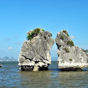 Hòn Gà Chọi