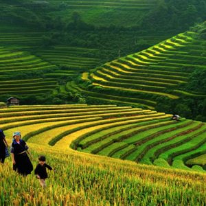 Thung lũng Mường Hoa