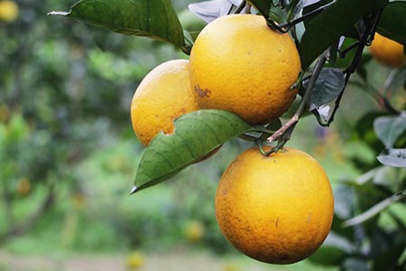 Công Ty Du Lịch Tầm Nhìn Việt