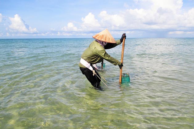 Tour du lịch đảo Cô Tô - Con người