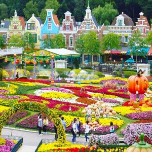 Tour du lịch Hàn Quốc - Công viên Everland