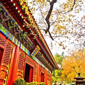 Tour du lịch Trung Quốc trọn gói giá tốt