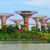 vườn-thực-vật-Garden-by-the-Bay