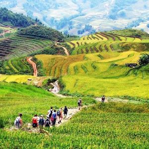 Điểm đến du lịch Sapa - Bản Cát Cát
