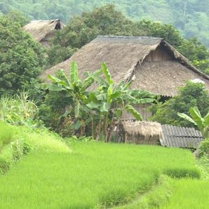 Tour du xuân 2019: Hà Nội - Thung Nai - Đền Thác Bờ - Bản Giang Mỗ - 2 Ngày
