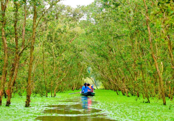 Du lịch rừng tràm Trà Sư, An Giang