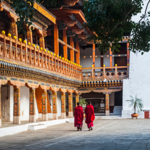 Thăm quan đền Punakha Dzong