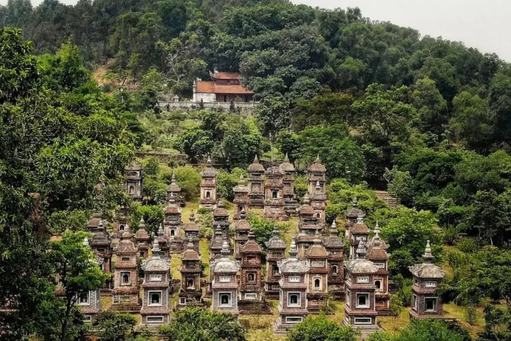 Công Ty Du Lịch Tầm Nhìn Việt