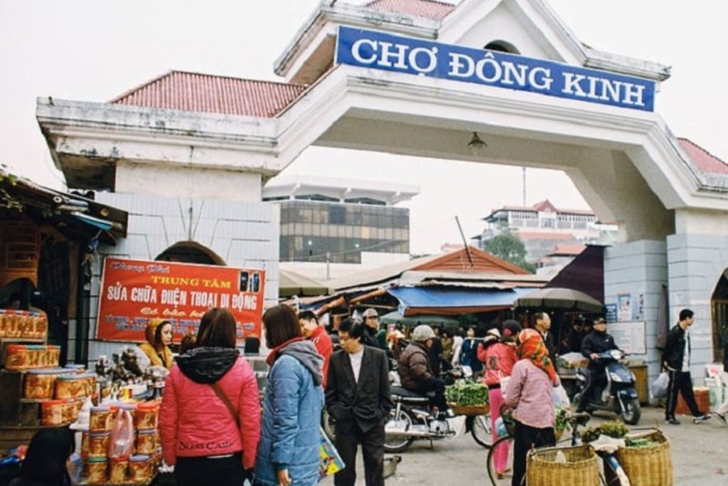 Công Ty Du Lịch Tầm Nhìn Việt