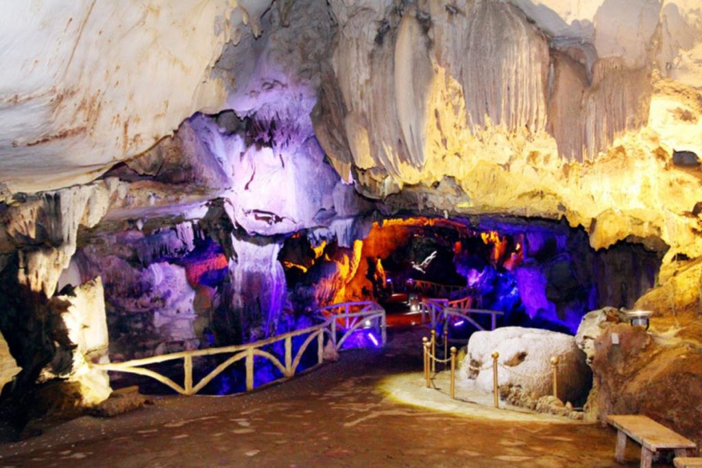 Công Ty Du Lịch Tầm Nhìn Việt