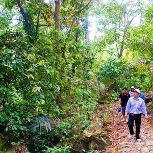 Tour du lịch Vườn Quốc gia Ba Bể 2 ngày