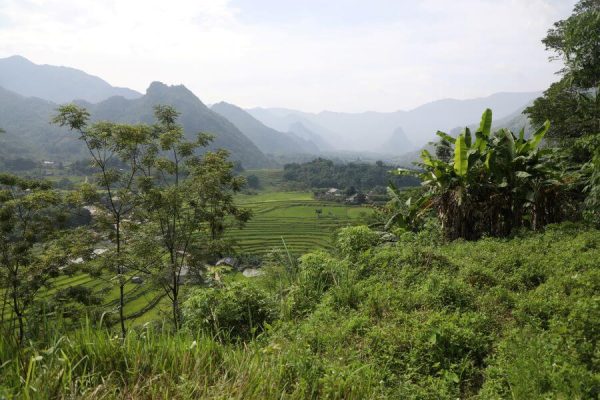 Tour du lịch khám phá vườn quốc gia Ba Bể