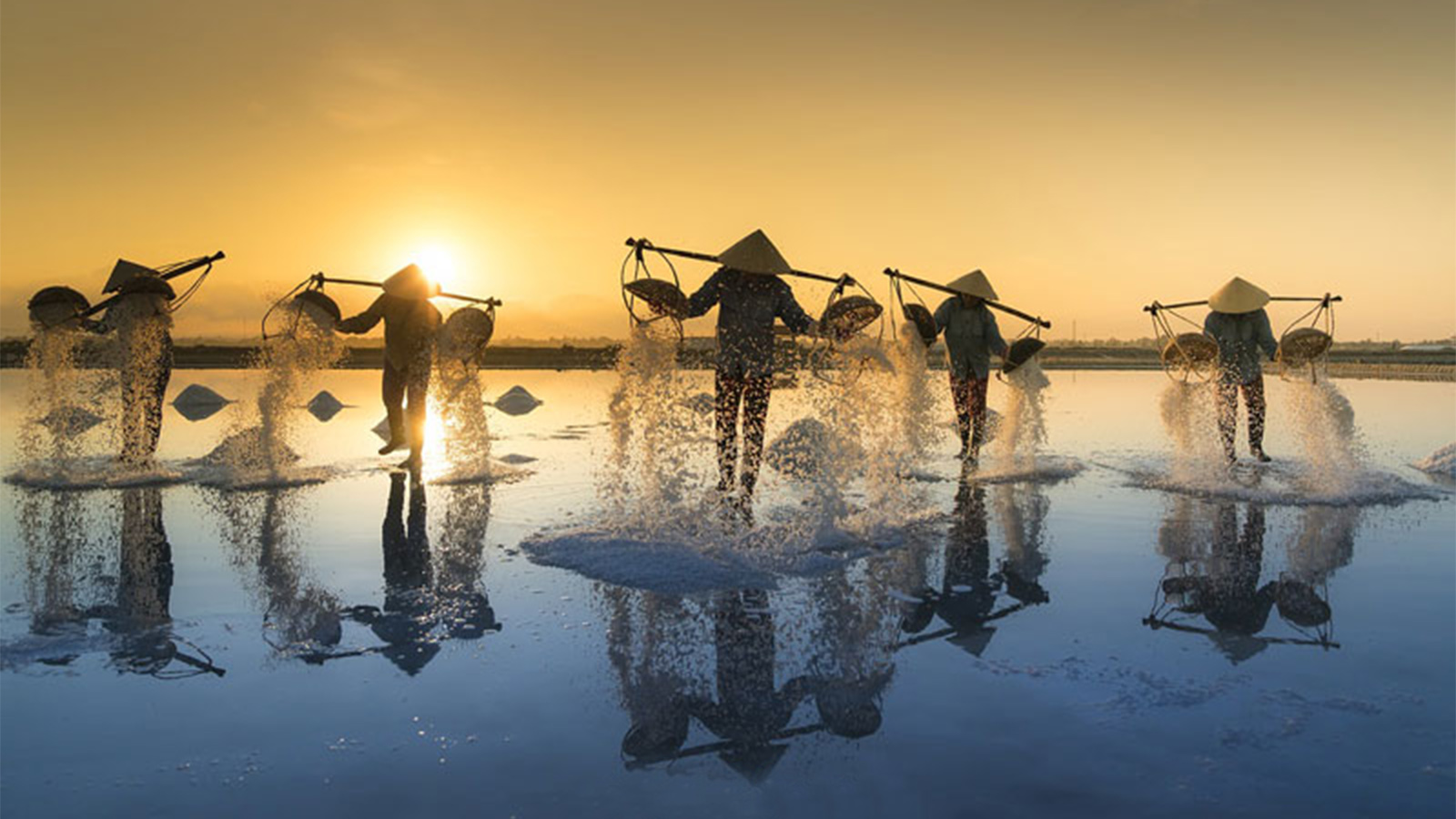 Ruộng Muối Bạch Long