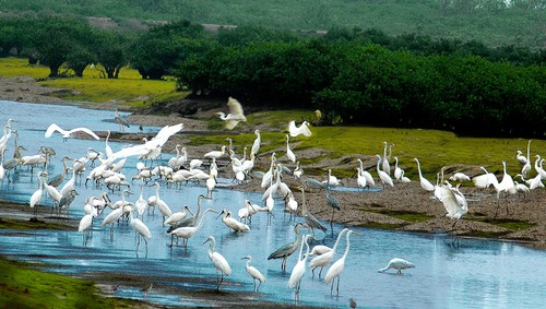 Tour du lịch Nam Định 3 ngày