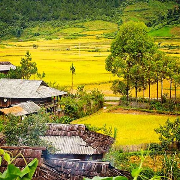 Du lịch Sơn La - Tour Du lịch Tây Bắc