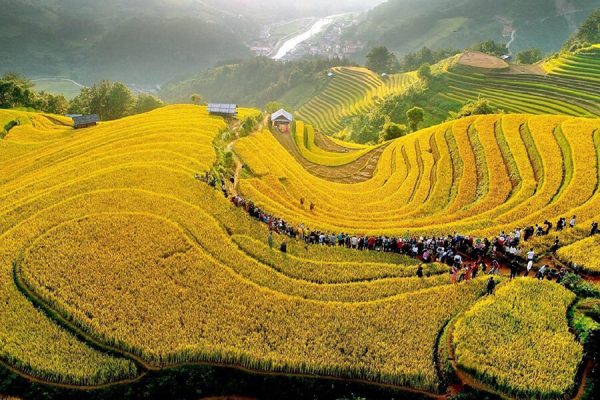Tour du lịch Liên Tuyến Tây Bắc 5 ngày