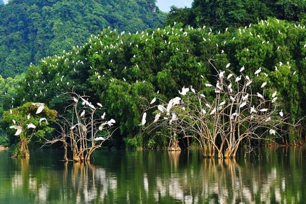 Du xuân miền Tây - Khu Bảo Tồn Đa Dạng Sinh Học