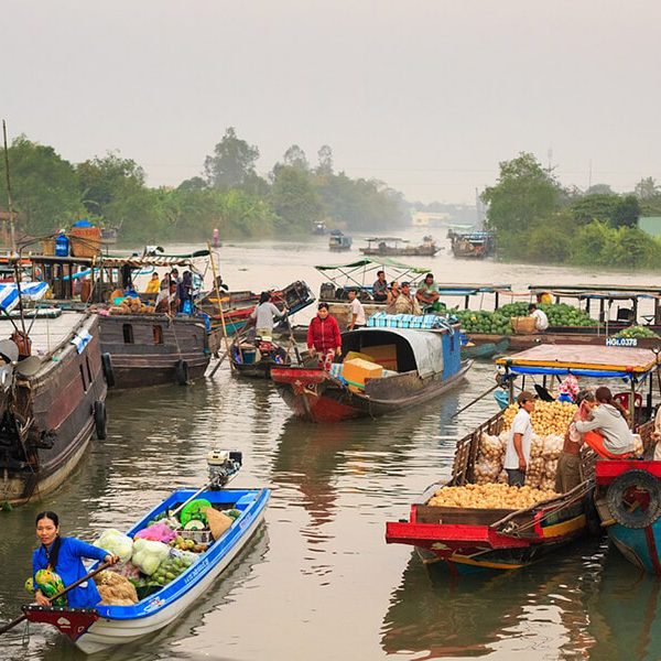 Tour Du Lịch Sa Đéc - Xẻo Quýt - Cần Thơ - Phú Quốc 3 Ngày