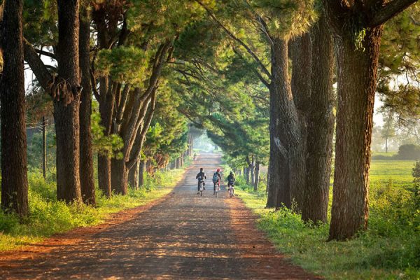 Tour Du lịch Biển Hồ Tây Nguyên dịp nghỉ lễ